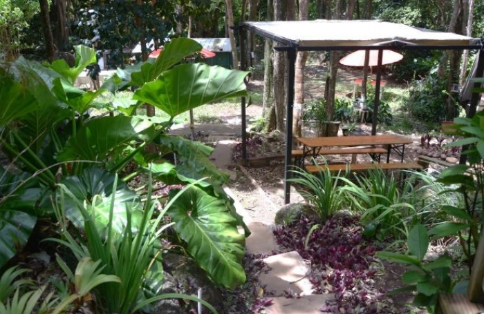 Vente Terrain 5005m² 9 pièces Pointe-Noire