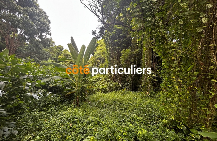 Vente Terrain 3391m² Sainte Rose