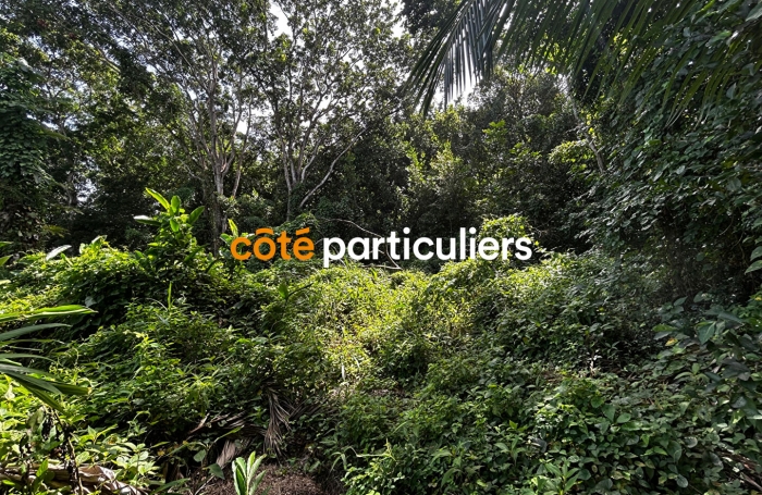 Vente Terrain 3391m² Sainte Rose