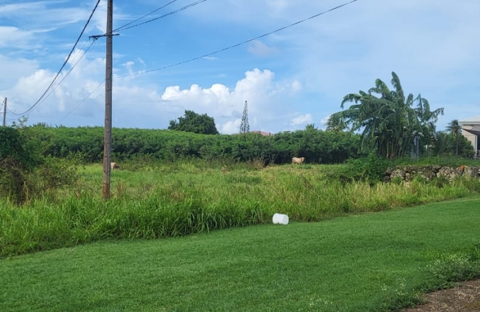 Vente Terrain 1000m&sup2; Saint Fran&ccedil;ois