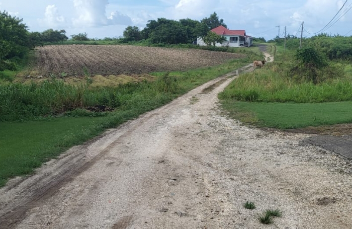 Vente Terrain 1000m&sup2; Saint Fran&ccedil;ois