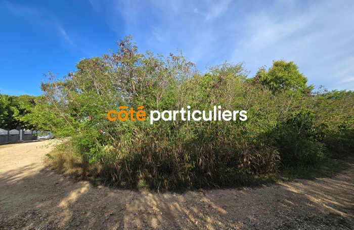 Vente Terrain 1139m² Anse-Bertrand