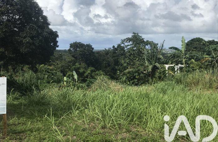 Vente Terrain 1502m&sup2; Sainte Rose