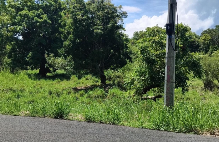 Vente Terrain 4268m&sup2; Pointe-Noire