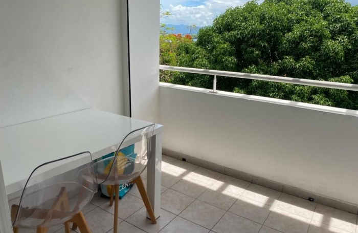 Location Appartement 97139