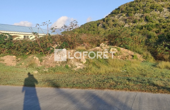 Vente Terrain 2130m² La Désirade