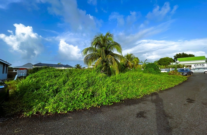 Vente Terrain 500m² Capesterre Belle Eau