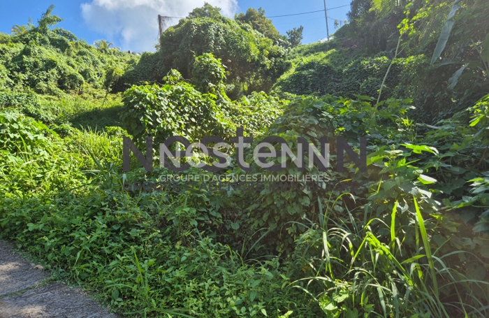 Vente Terrain 1800m² Gosier