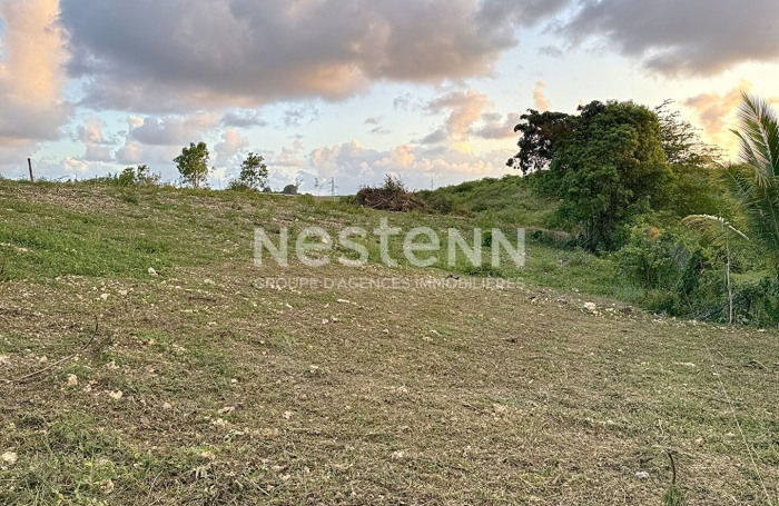 Vente Terrain 779.42m² Sainte Anne