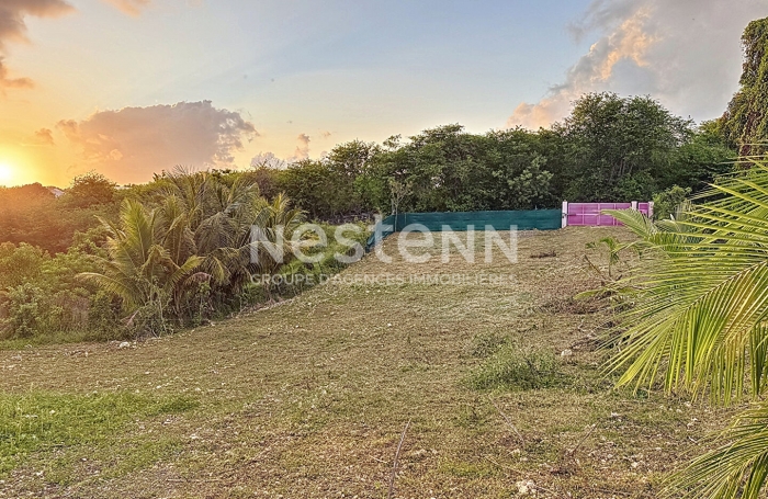 Vente Terrain 400m² Sainte Anne