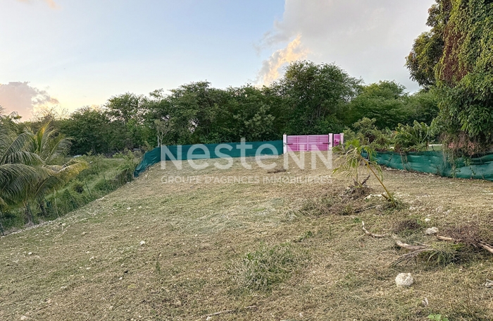 Vente Terrain 400m² Sainte Anne