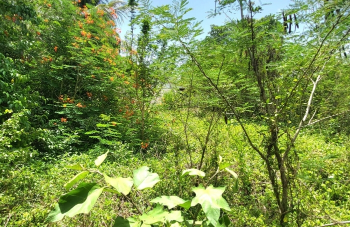 Vente Maison 65m&sup2; 4 pi&#232;ces Port-Louis