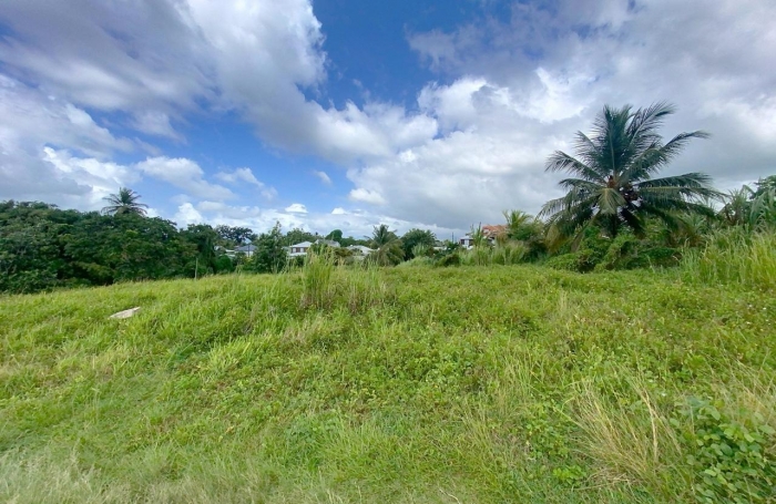 Vente Terrain 5194m² Baie Mahault