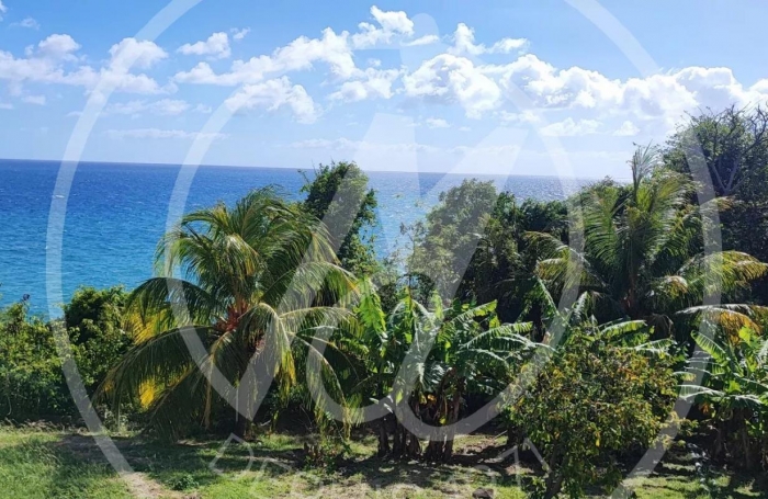 Location Maison 97141