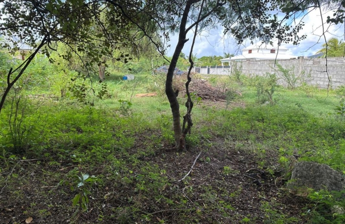 Vente Terrain 540m&sup2; Anse-Bertrand