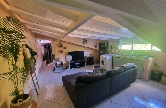 Location Appartement 97139