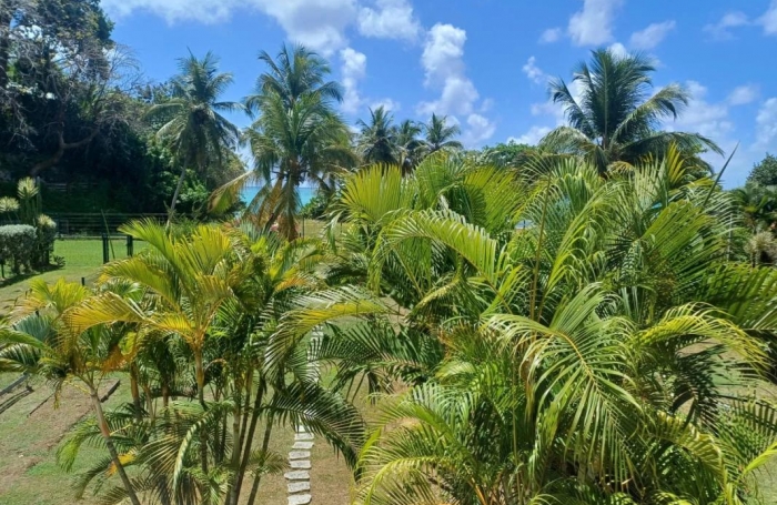 Vente Appartement 42.23m&sup2; 2 pièces Gosier