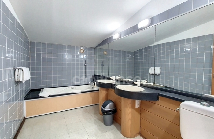 Vente Fonds de commerce 1363m&sup2; 46 pi&#232;ces Saint François