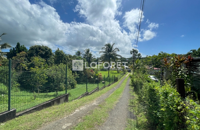 Vente Terrain 1171m&sup2; Lamentin