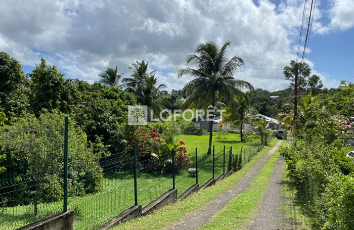 Vente Terrain 1171m&sup2; Lamentin