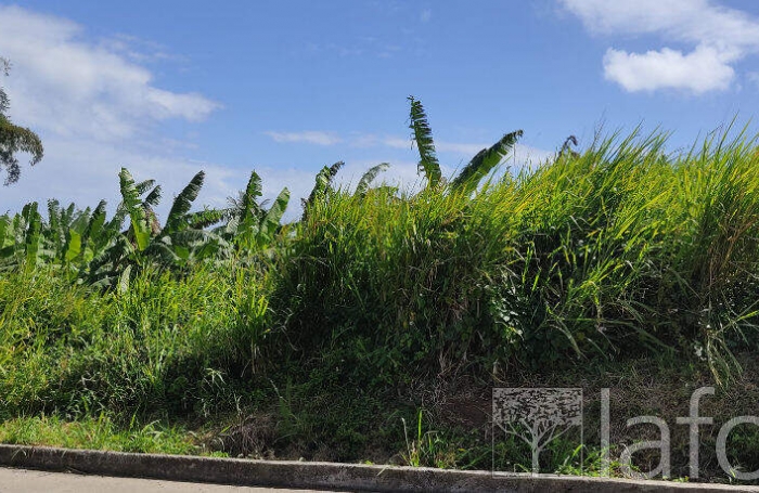 Vente Terrain 1056m&sup2; Capesterre Belle Eau