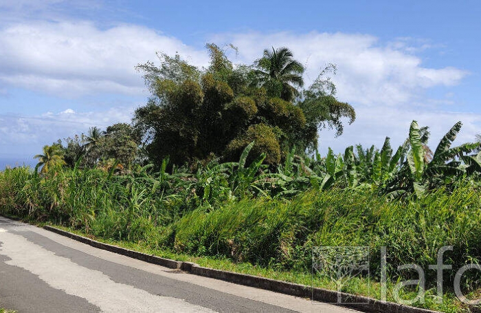 Vente Terrain 1056m&sup2; Capesterre Belle Eau