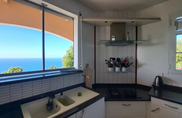 Villa familiale spacieuse avec grand jardin et vue mer.