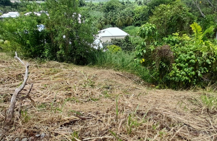 Vente Terrain 507m&sup2; Capesterre Belle Eau