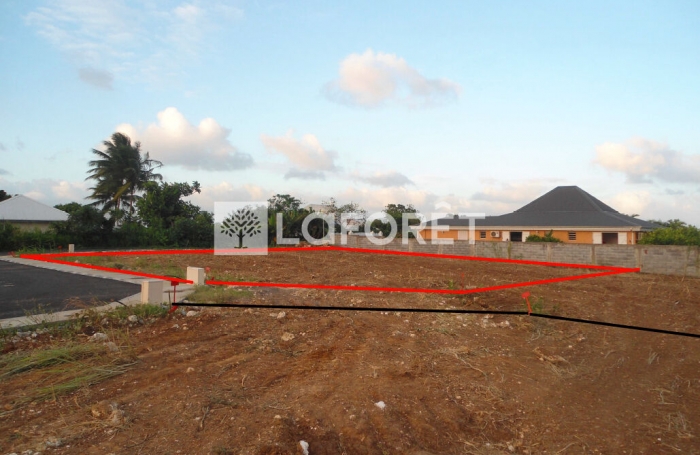 Vente Terrain 801m&sup2; Baie Mahault