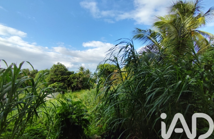 Vente Terrain 400m&sup2; Sainte Rose