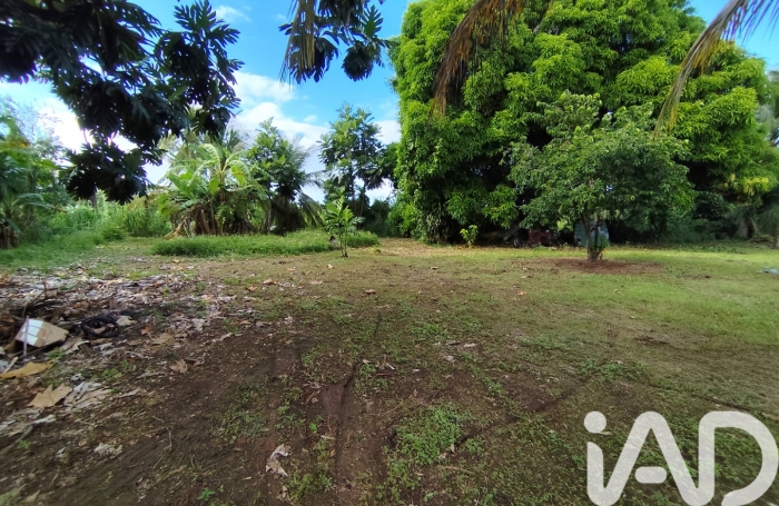 Vente Terrain 400m&sup2; Sainte Rose