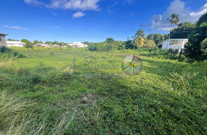 Vente Terrain 97160