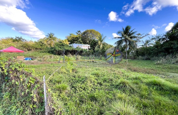 Environnement calme - Quartier r&eacute;sidentiel