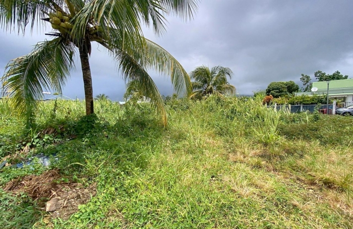 Vente Terrain 500m&sup2; Capesterre Belle Eau