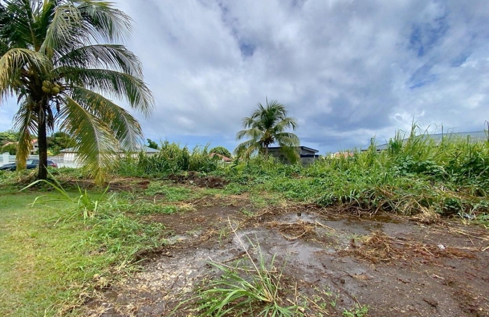 Vente Terrain 500m&sup2; Capesterre Belle Eau