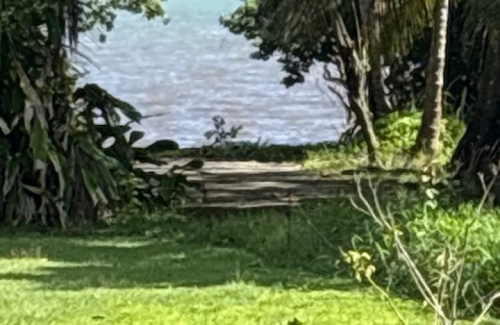 VILLA T5 AVEC PISCINE VUE MER SANS VIS AVIS