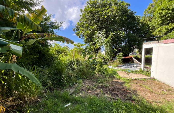 Vente Terrain 424m&sup2; Basse-Terre
