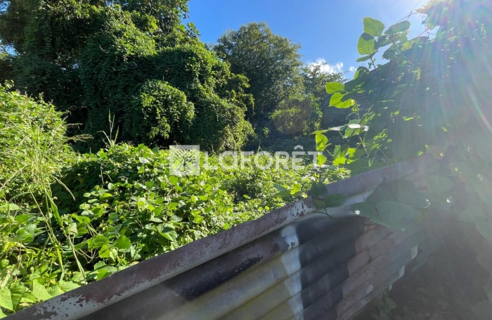 Vente Terrain 237m&sup2; Pointe-&agrave;-Pitre