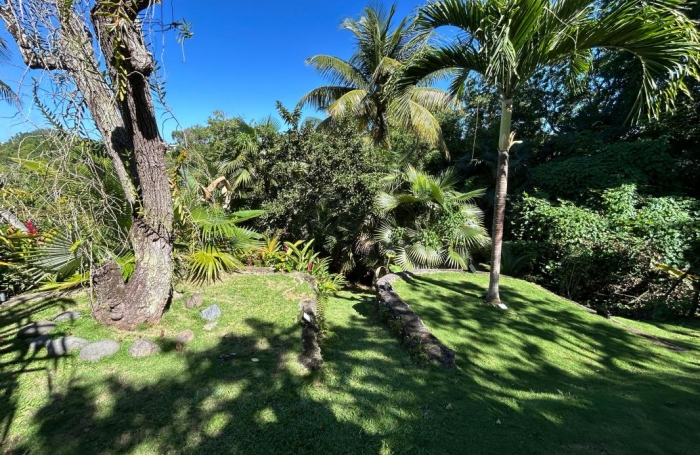 Vente Immeuble 500m&sup2; 11 pièces Sainte Anne