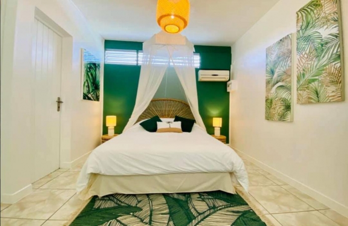 Vente Immeuble 500m&sup2; 11 pièces Sainte Anne