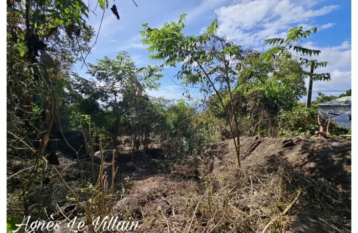 Vente Terrain 1041m&sup2; Pointe-Noire