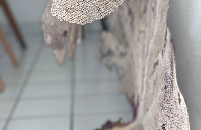 Appartement R&eacute;sidence Belle Rivi&egrave;re