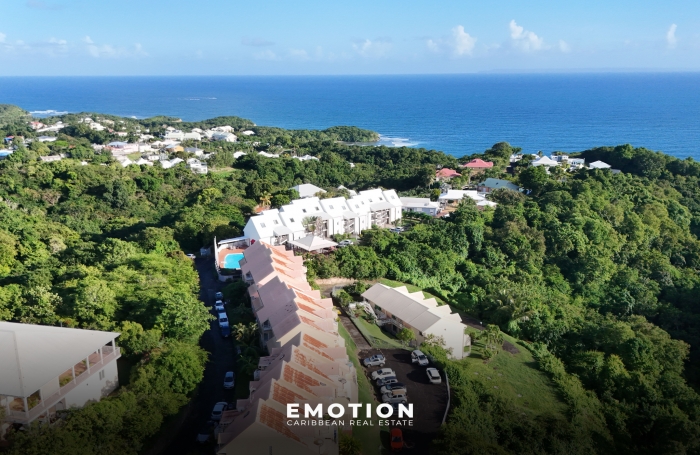 Vente Appartement 97190