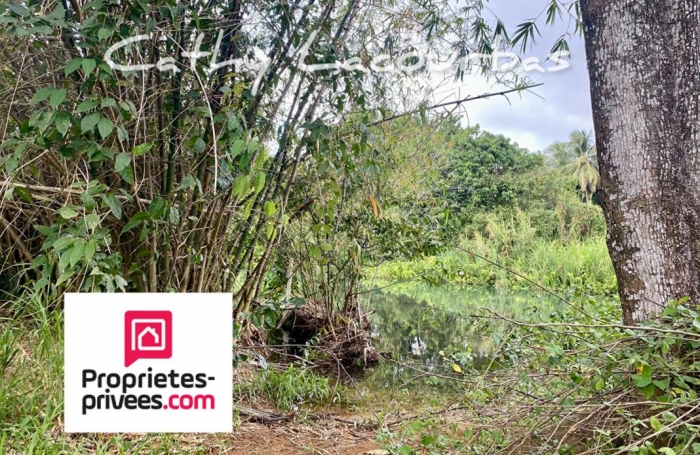 Vente Terrain 10000m&sup2; Pointe-Noire