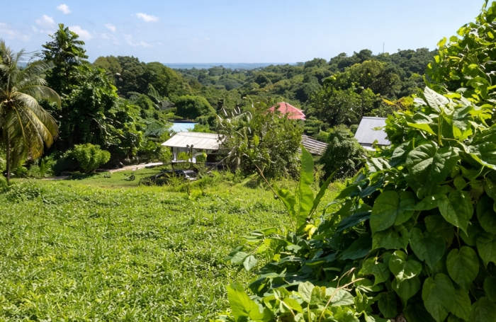 Bel appartement T3 avec terrasses et jardin   Petit-Bourg (Fontarabie)