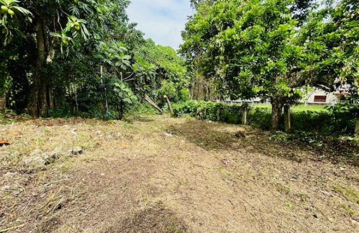 Location Maison 53.05m&sup2; 2 pièces Les Abymes