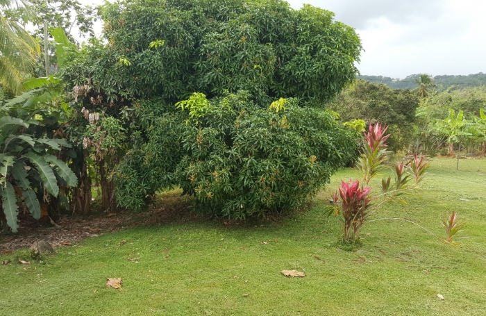 A SAISIR BELLE VILLA F4 A PETIT BOURG