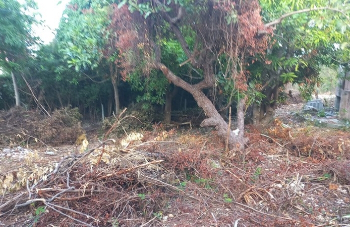 Vente Maison 200m&sup2; 7 pièces Sainte Anne