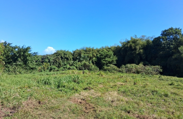 - BAIE-MAHAULT   lotissement r&eacute;sidentiel de 12 parcelles, &laquo; Les Jardins de Tivoli &raquo;,
