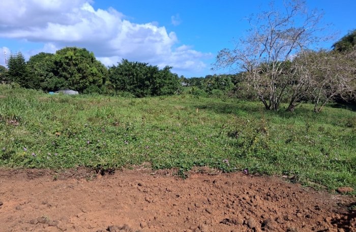 - BAIE-MAHAULT   lotissement r&eacute;sidentiel de 12 parcelles, &laquo; Les Jardins de Tivoli &raquo;,